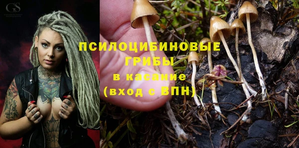 винт Богородицк