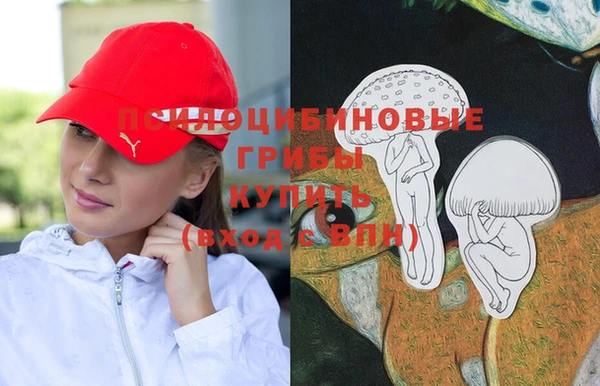 винт Богородицк