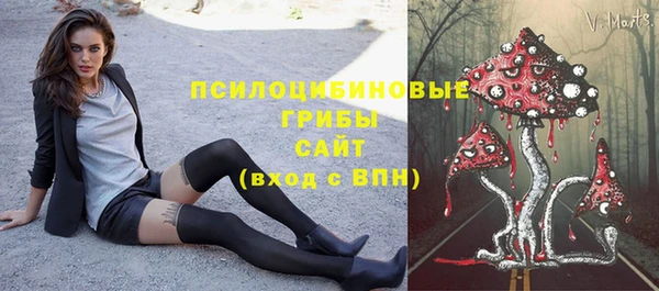 винт Богородицк