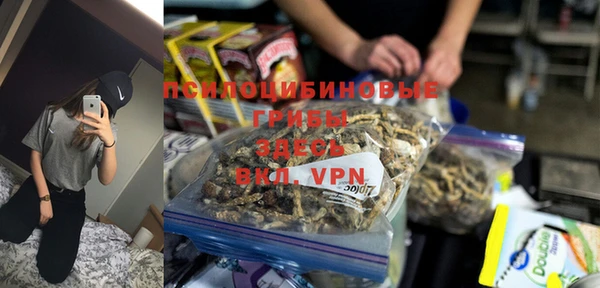винт Богородицк