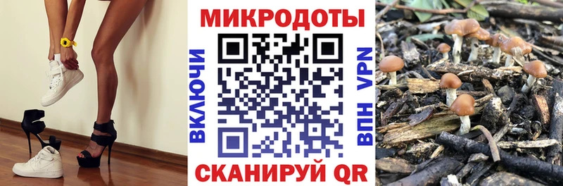 Галлюциногенные грибы MAGIC MUSHROOMS  Городище 